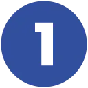 Type 1