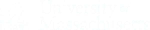 University of Massachusetts