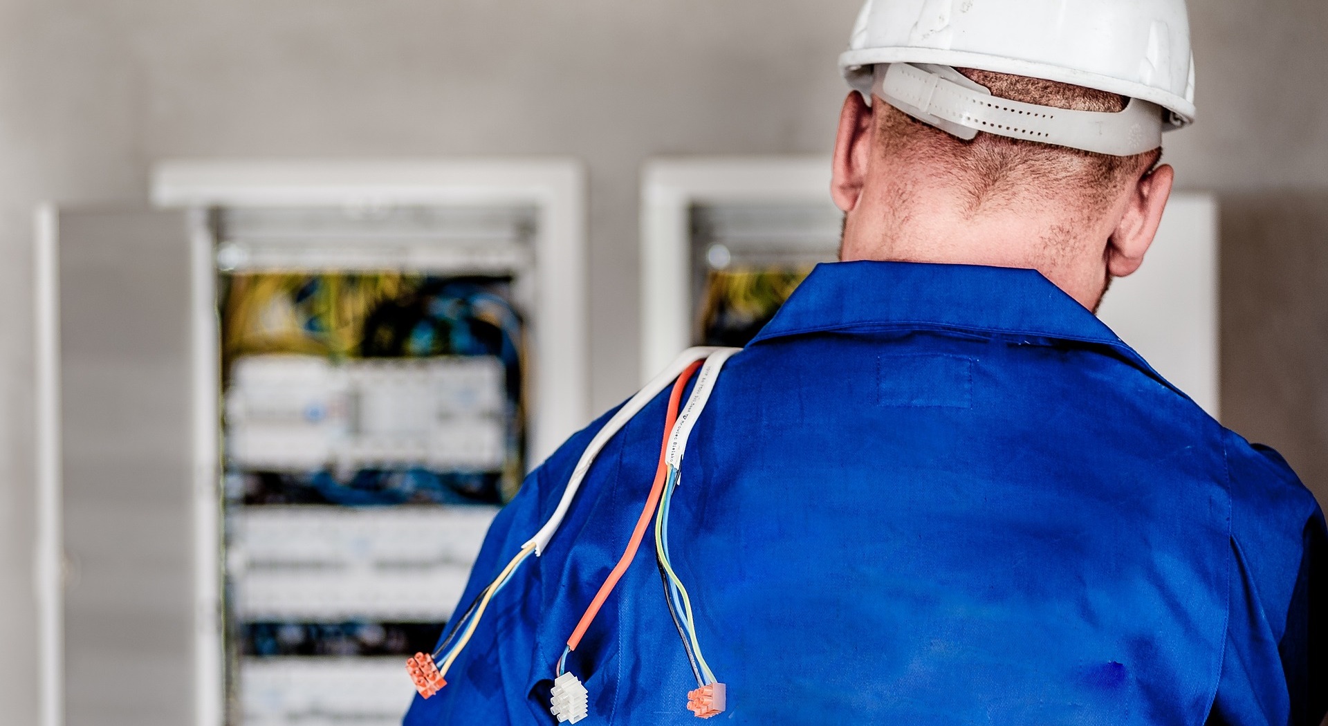 Vendor Management
